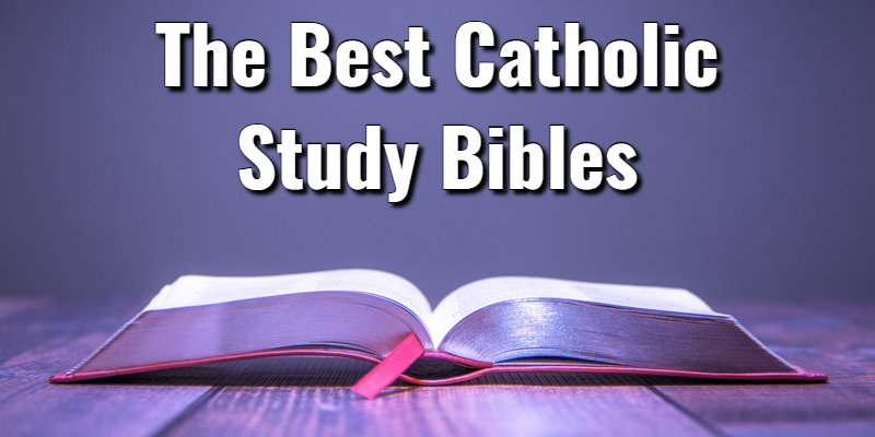 The 13 Best Catholic Study Bibles to Consider for 2022Lord's Library