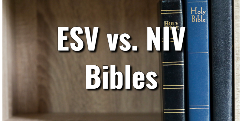 What Is Esv Bible Vs Niv