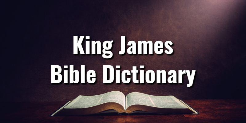 The Top King James Bible Dictionary on Amazon Right NowLord's Library