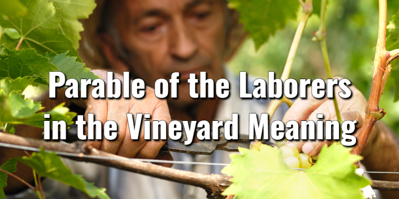 the-parable-of-the-laborers-in-the-vineyard-meaning-scripturelord-s