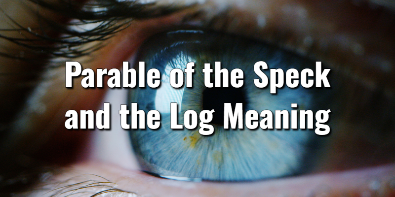 the-parable-of-the-speck-and-the-log-meaning-bible-verseslord-s-library