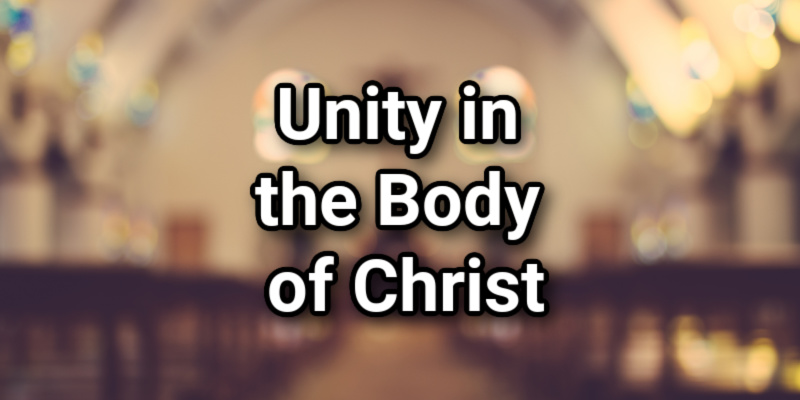 Unity in the Body of Christ: Unity, But Not for Unity's SakeLord's Library