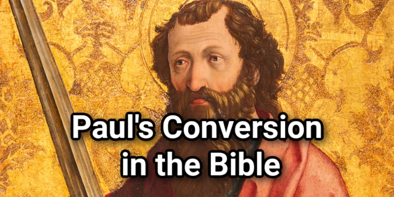 Paul's Conversion in the Bible: Story, Scripture & Ministry ...