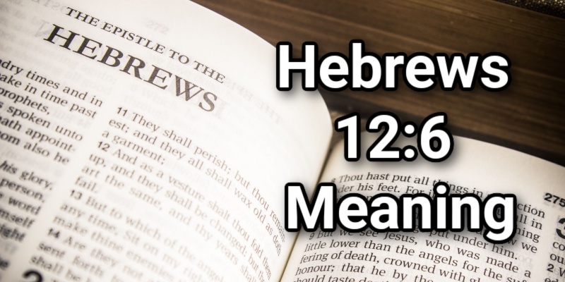 Whom the Lord Loves He Chastens: Hebrews 12:6 MeaningLord's Library