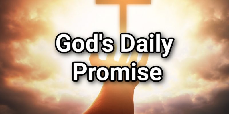 Gods-Daily-Promise.jpg