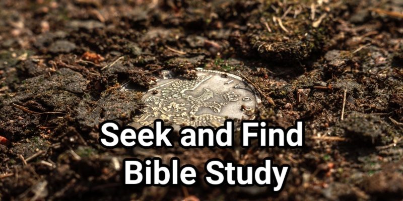 Seek-and-Find-Bible-Study.jpg