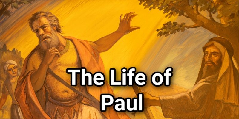 The-Life-of-Paul.jpg