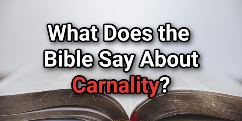 What-Does-the-Bible-Say-About-Carnality.jpg