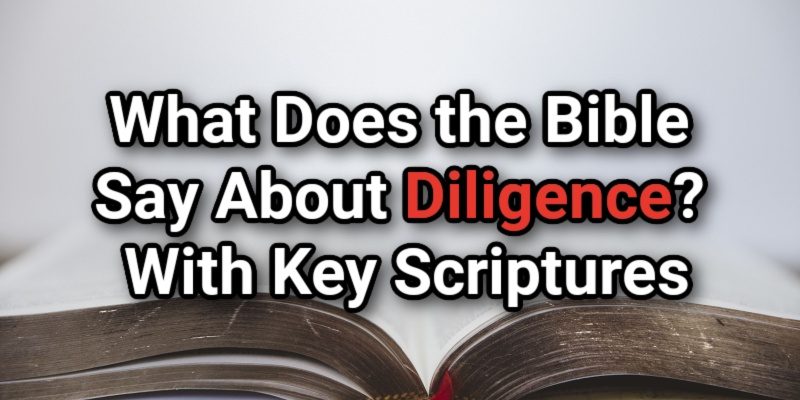 What-Does-the-Bible-Say-About-Diligence_-With-Key-Scriptures.jpg