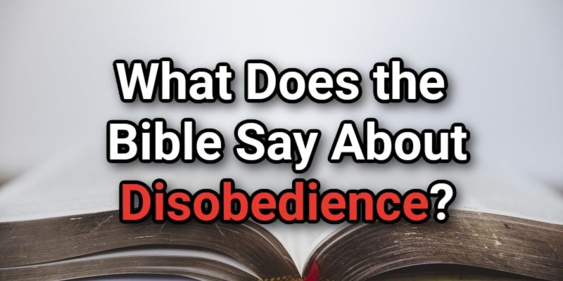 What-Does-the-Bible-Say-About-Disobedience_.jpg